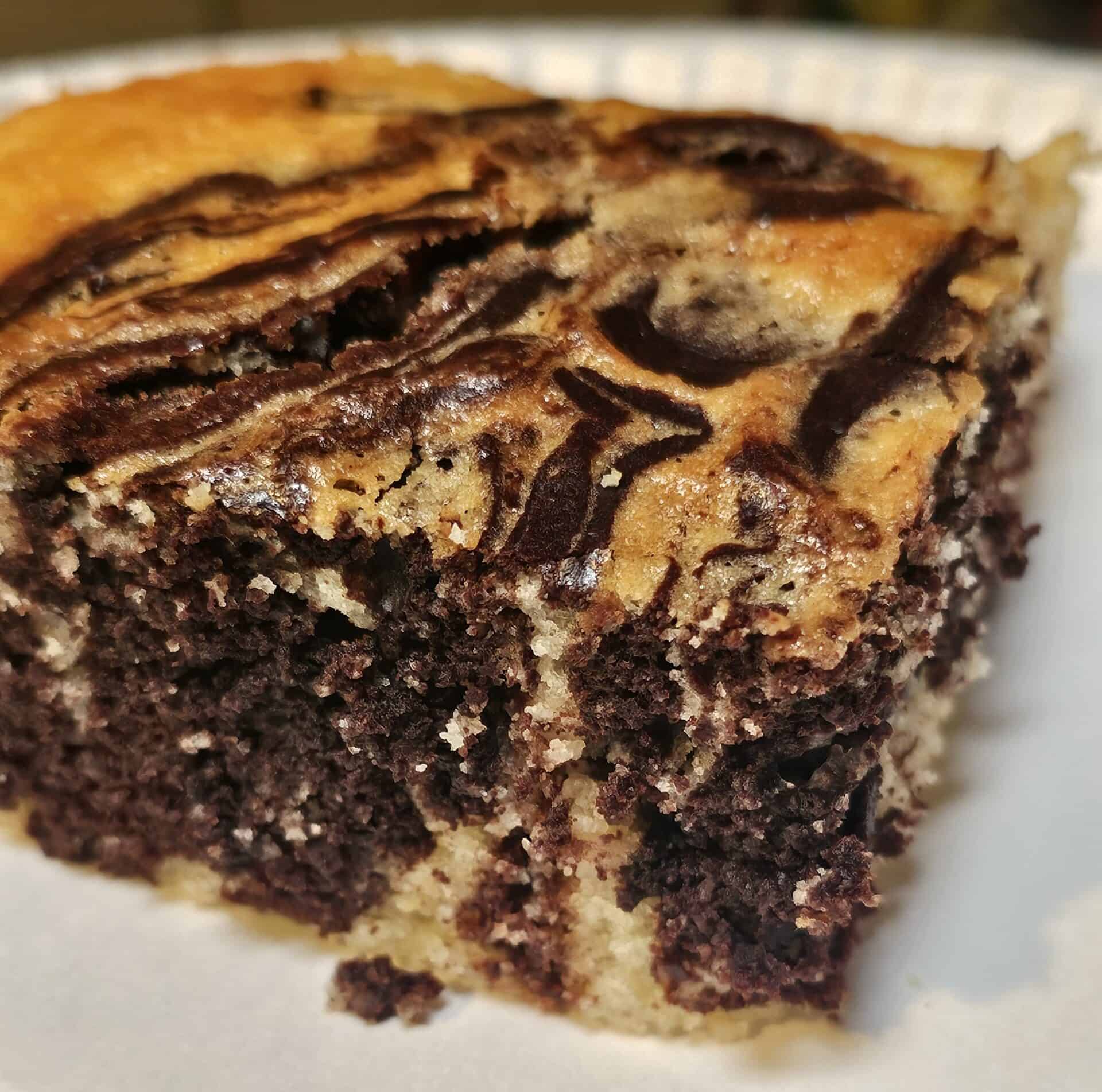 Piece of marble cake